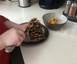 Winter Promise | Charlotte Mason | Homeschooling | Pine Cone Craft 