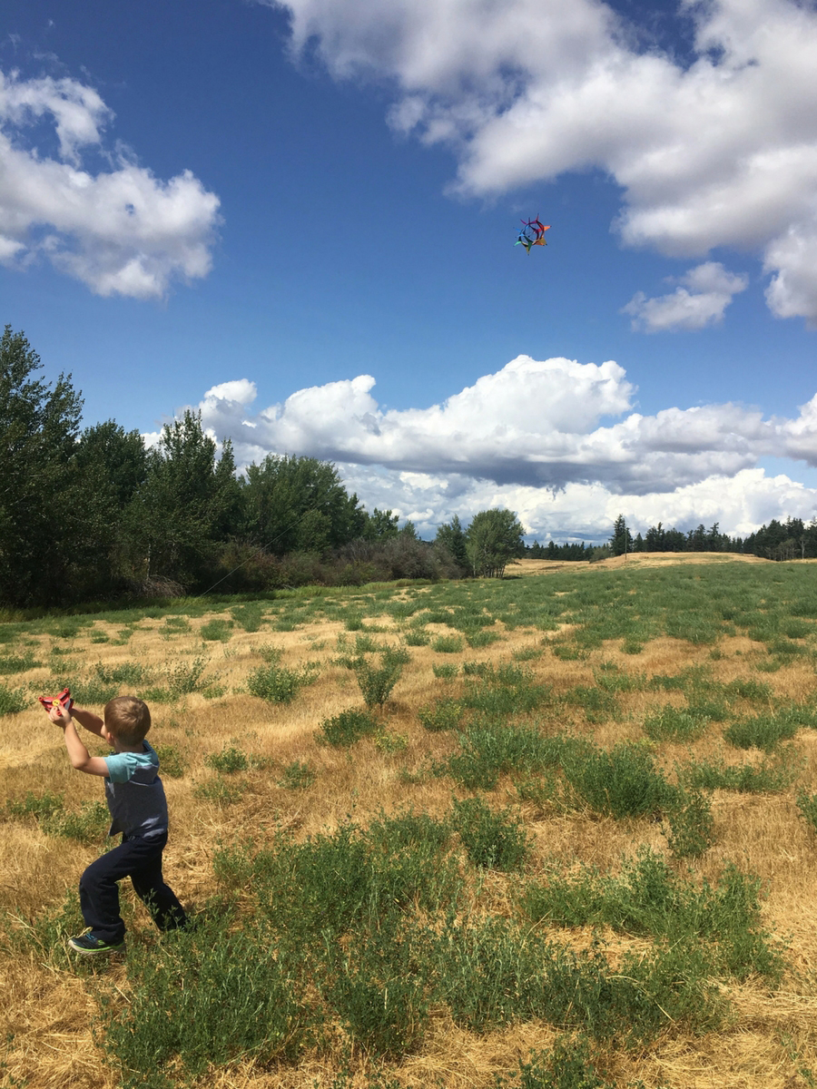 All About Wind Unit Study. LETS-READ-AND-FIND-OUT SCIENCE | Wind Study | Wind Lesson | Ghost | Wind Sock | Windmill | Kite Flying | Hands On Learning | Homeschool Curriculum | Homeschool Lesson Plan | Homeschooling | Ranching with Kids