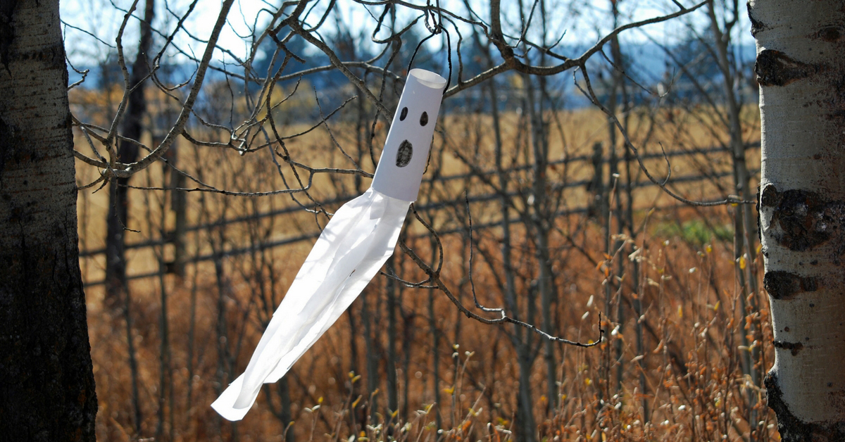 All About Wind Unit Study. LETS-READ-AND-FIND-OUT SCIENCE | Wind Study | Wind Lesson | Ghost | Wind Sock | Windmill | Kite Flying | Hands On Learning | Homeschool Curriculum | Homeschool Lesson Plan | Homeschooling | Ranching with Kids