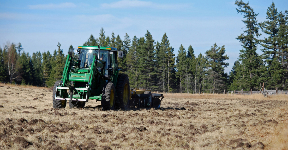 Day in the Life - October. Ranch Life | Cattle | Homeschooling | Unit Study | Fall Chores | Moving Cows | Plowing | Hayfields | Bonding Time | Herd Bulls | Routine |