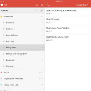 How I Manage the Never Ending List of To Dos by using Todoist. #todolist #todo #todoist