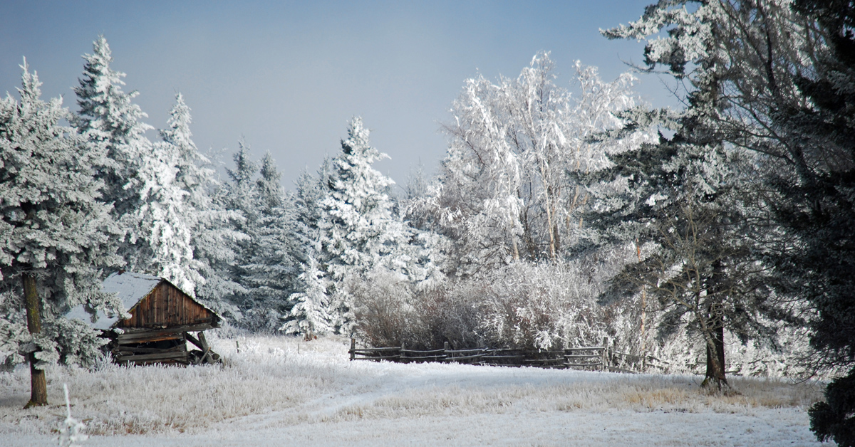 Love this location, no matter what the season. 