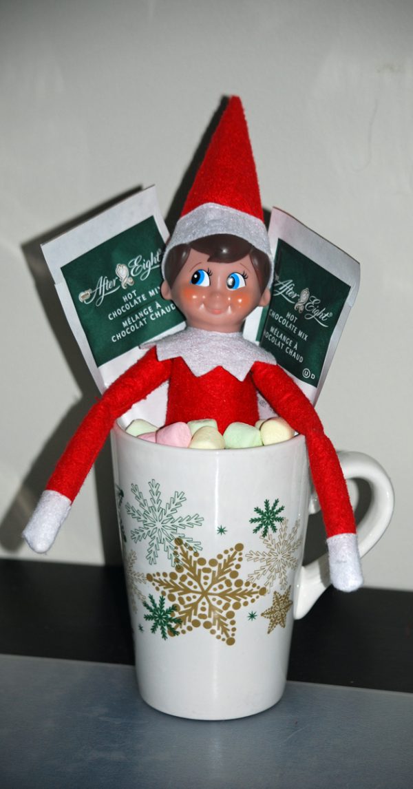 12 Fun and Easy Elf on the Shelf Ideas - Ranching with Kids