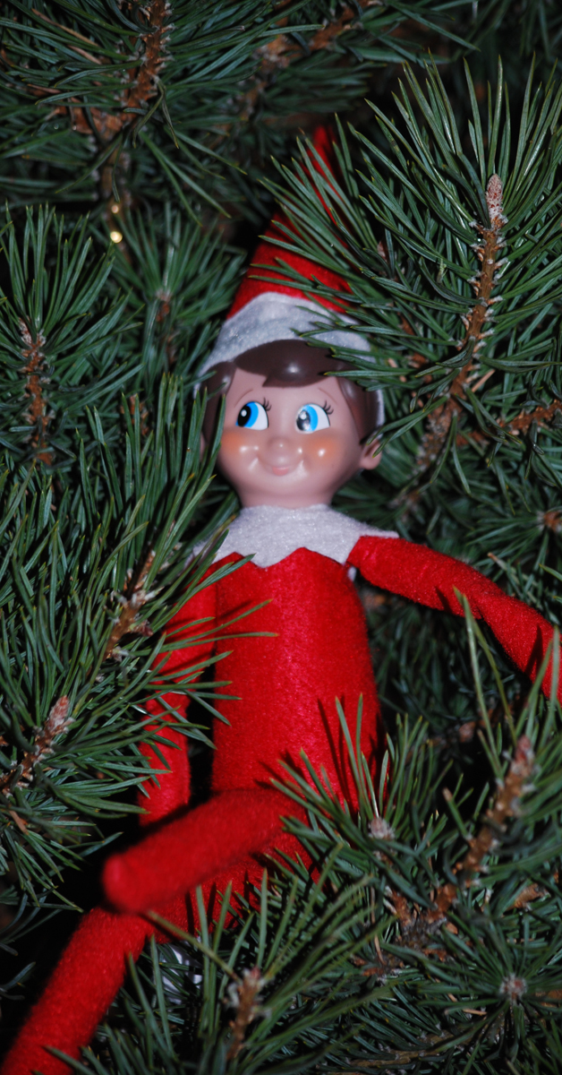 12 More Fun & Easy Elf on the Shelf Ideas. A great Christmas tradition with your children.