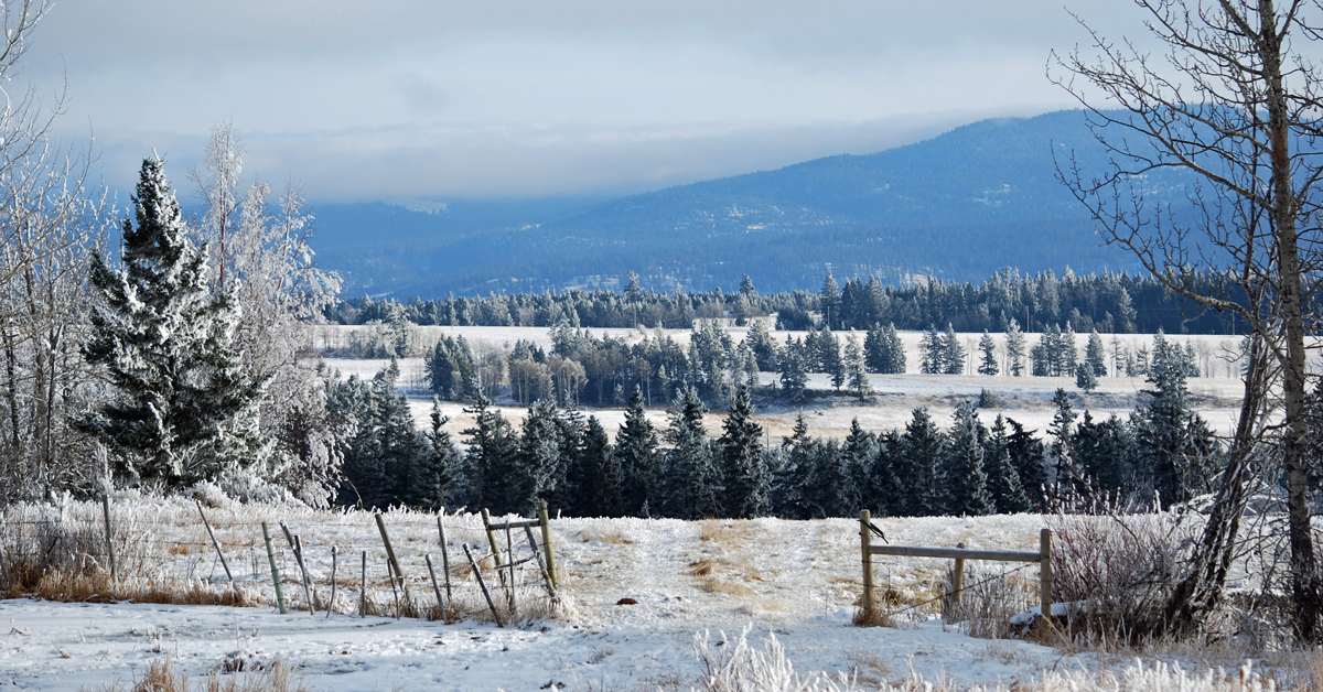 A gorgeous view on a beautiful day! Check out a day in the life for a homeschooling mom and rancher!