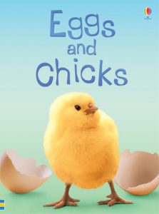 A great book about eggs and chicks. Easter, Easter Books, Usborne Books, Sticker Books, Easter Story, Chicks, Eggs, Bunny