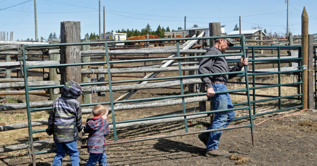 There are lots of opportunities for family time on the ranch.