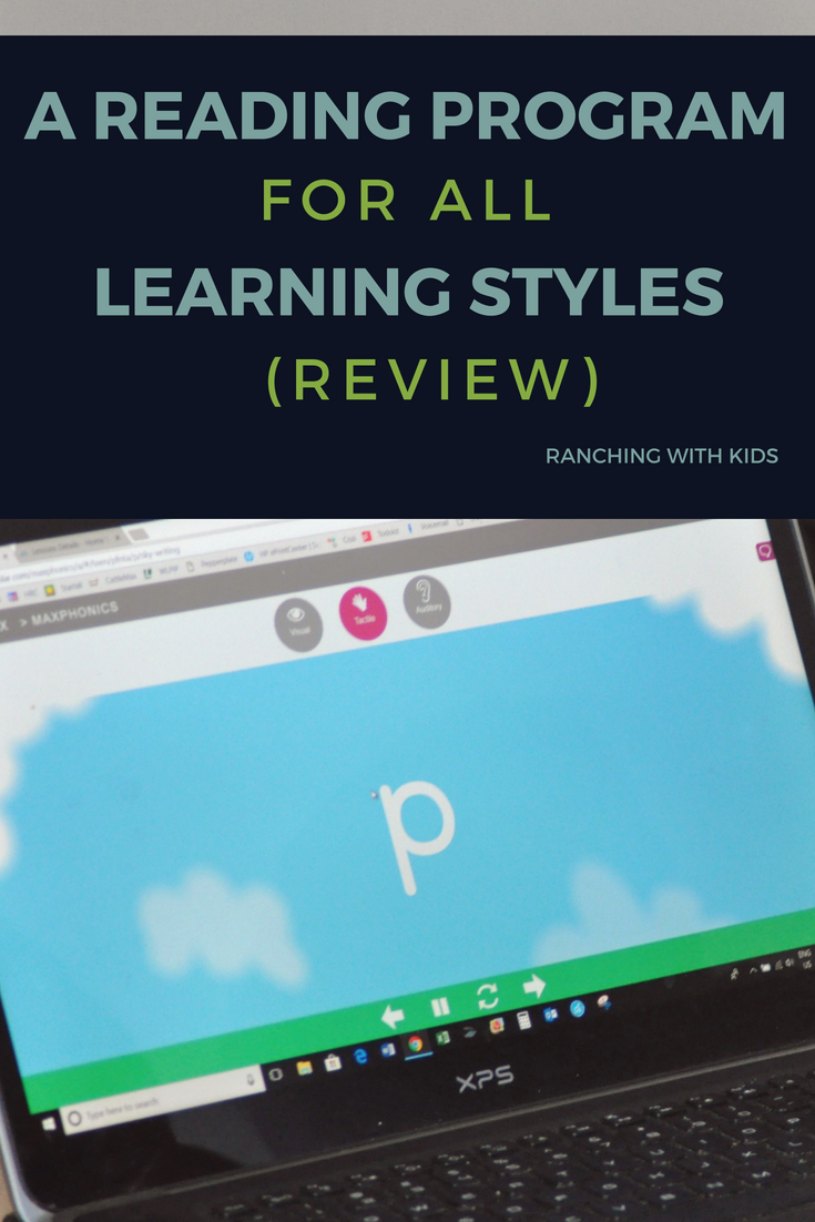 A Reading Program for All Learning Styles. #reading #intervention #maxscholar