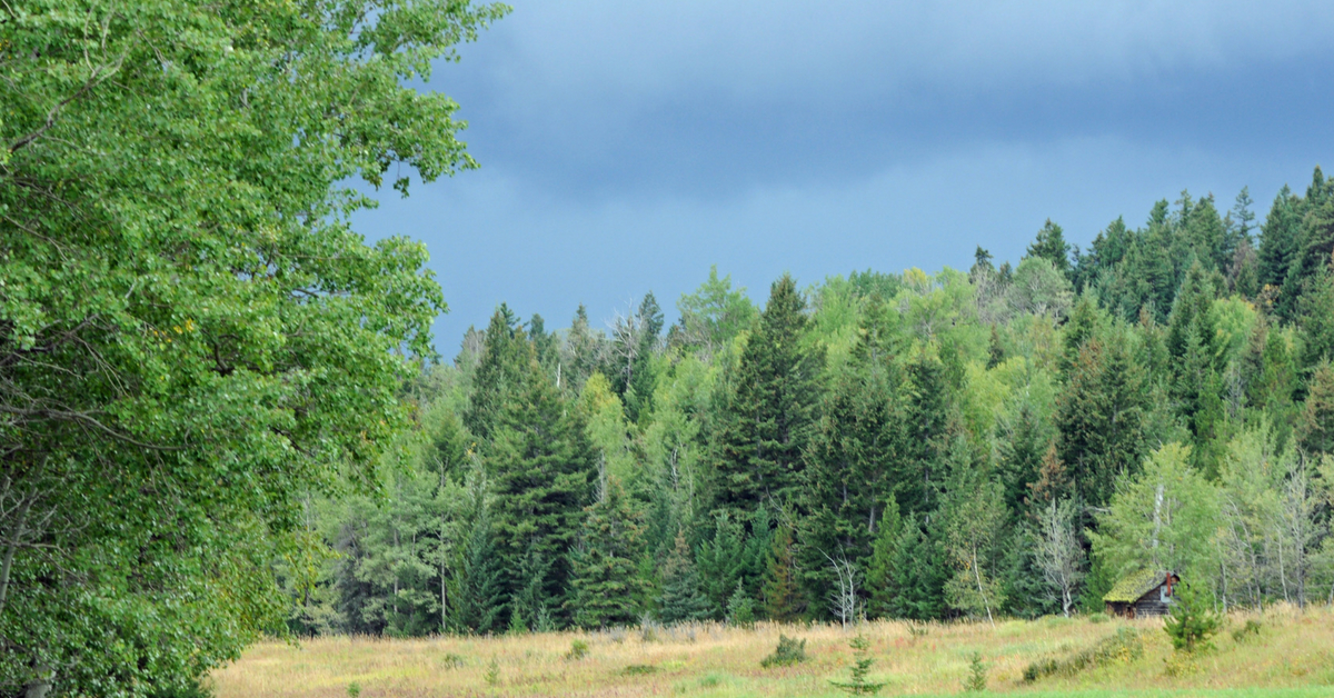 Watching the Storm Arrive. #ranching #ranchinglife #ranchingphotography