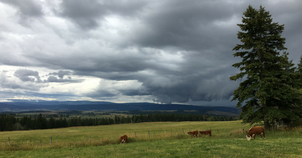 Watching the Storm Arrive. #ranching #ranchinglife #ranchingphotography