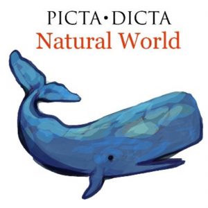 Learn Latin with Picta Dicta (Review). #learnlatin #learnlatinforkids #learnlatinforbeginners