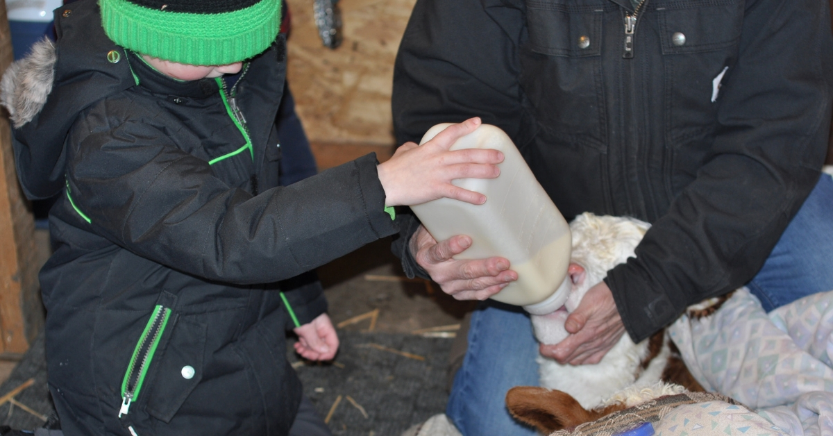 Calving Begins on the Ranch. #calvingseason #calving #ranchlife