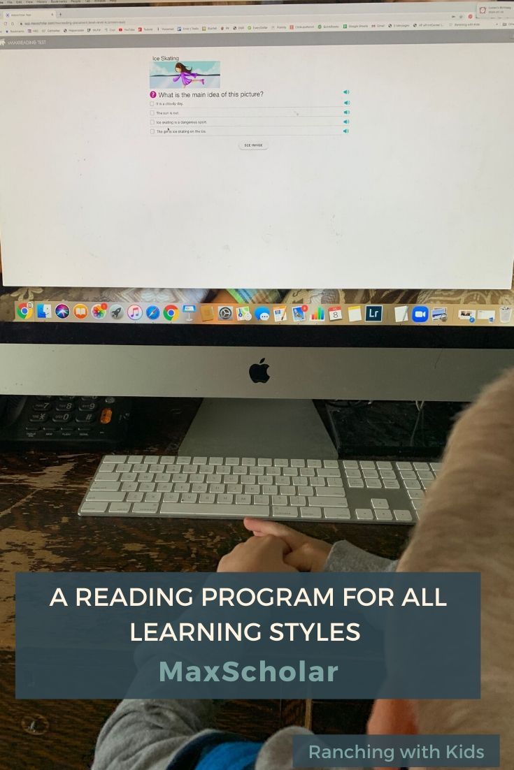 MaxScholar - A fun, interactive online reading program for all learning styles. #onlinereadingprogram #readingprogram #maxscholar