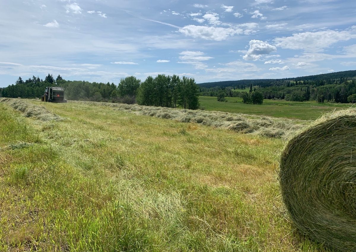 Baling Hay on the Ranch during haying season